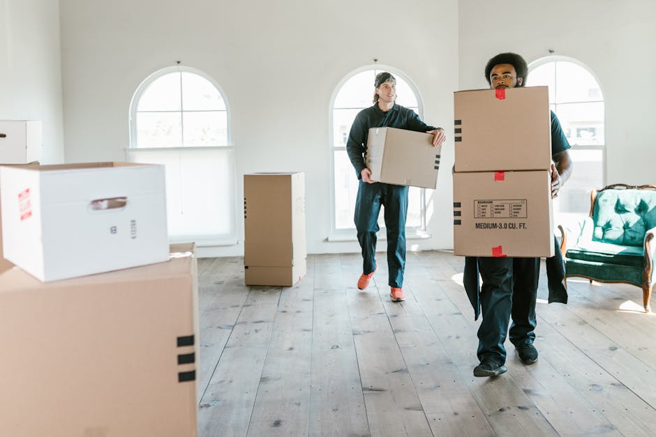 A professional removals worker, a young man with a friendly expression, is carrying a large cardboard moving box with red and black tape, while another individual, a woman with glasses and a relaxed p